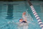 Swimming vs Bentley  Wheaton College Swimming & Diving vs Bentley College. - Photo by Keith Nordstrom : Wheaton, Swimming & Diving